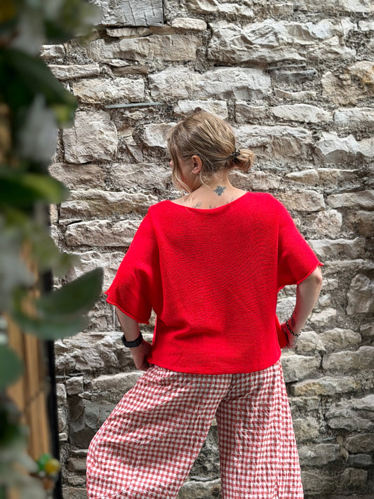 Stunning Ayana Layering Top Size 10-22 In Red