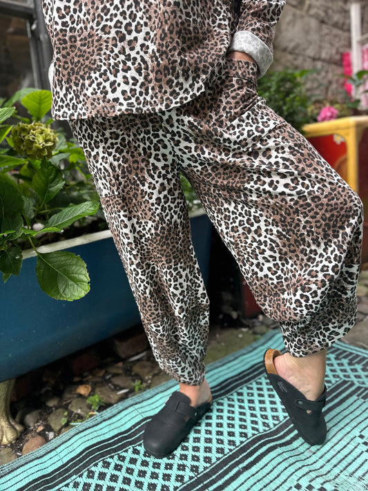 Soft Jersey Animal Print Kuiza Trousers In Size 8-16